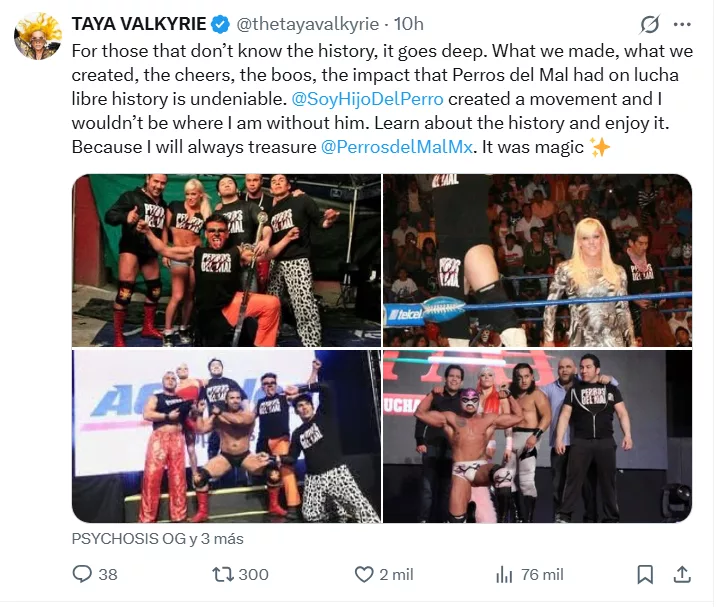 Taya Valkyrie