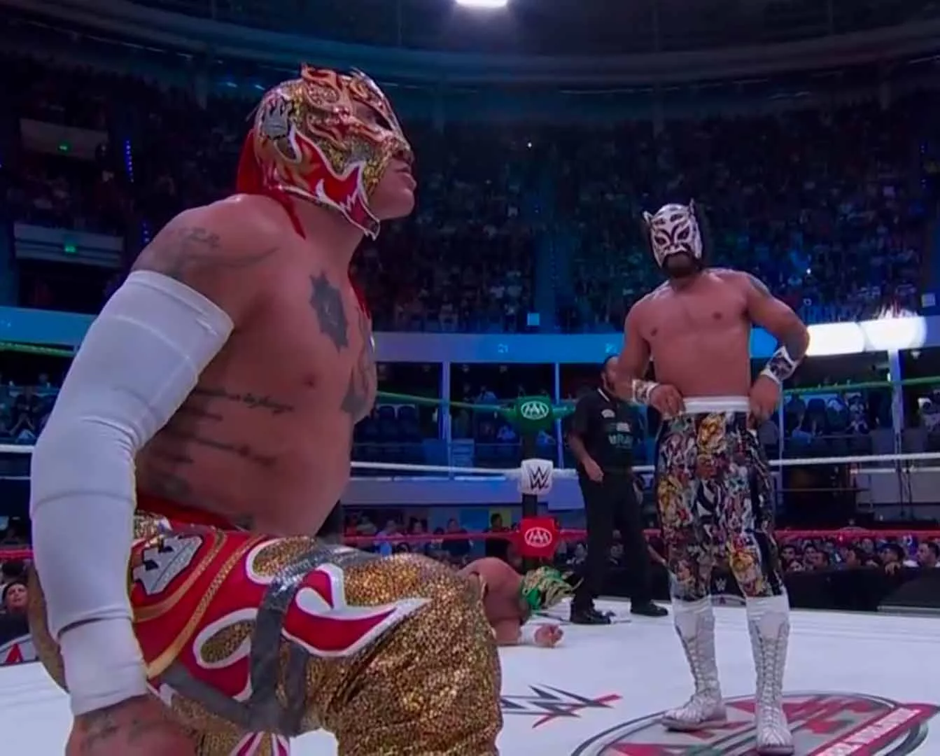 Lucha