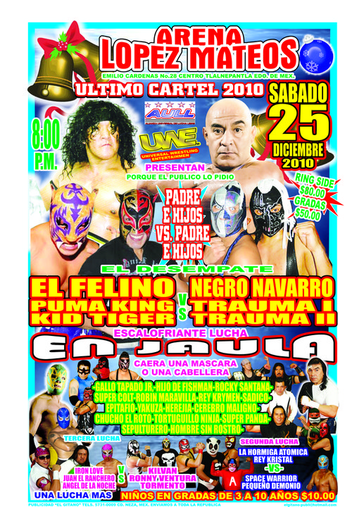 casas vs navarro en arena lopez mateos