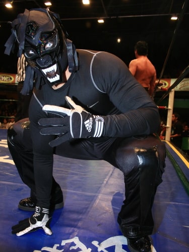 volador depredador leyendas