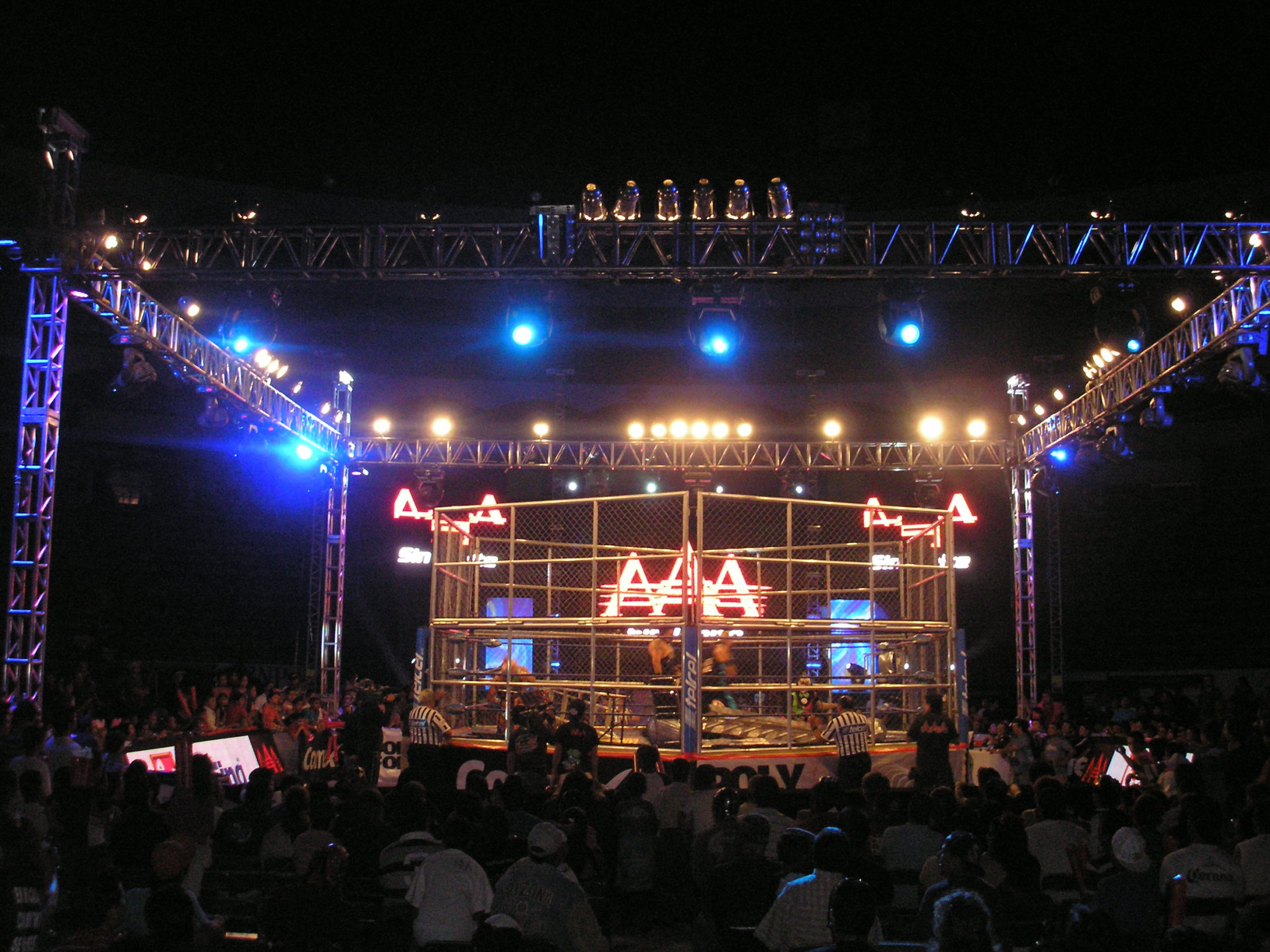 jaula verano de Escandalo AAA Verano de Escándalo 2011 (resultados 31 de Julio) ¡Jeff Jarrett retiene con la ayuda del Zorro enmascarado!- X- Fly pierde la cabellera- Pimpinela nueva Reina de reinas 6