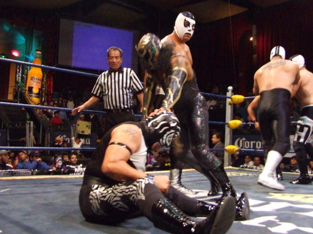 canis_lupus_el_pantera_ok