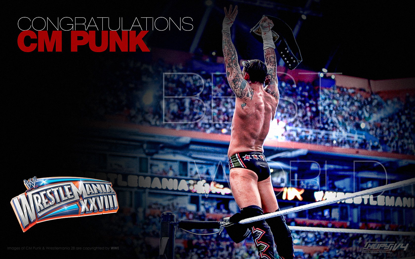 cm punk wwe