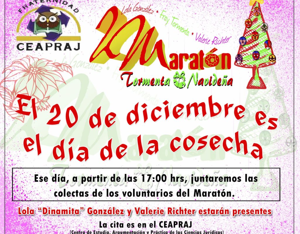 19 de diciembre de 2012: Maratón Tormenta Navideña II