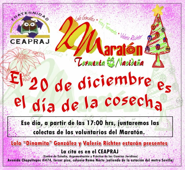 19 de diciembre de 2012: Maratón Tormenta Navideña II