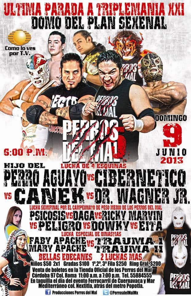 5to. Aniversario de los Perros del Mal: Hijo del Perro Aguayo y Cibernético rumbo a Triplemanía XXI / Domo del C.D. "Plan Sexenal" - 9 de junio de 2013 / Image by Producciones Perros del Mal en Facebook